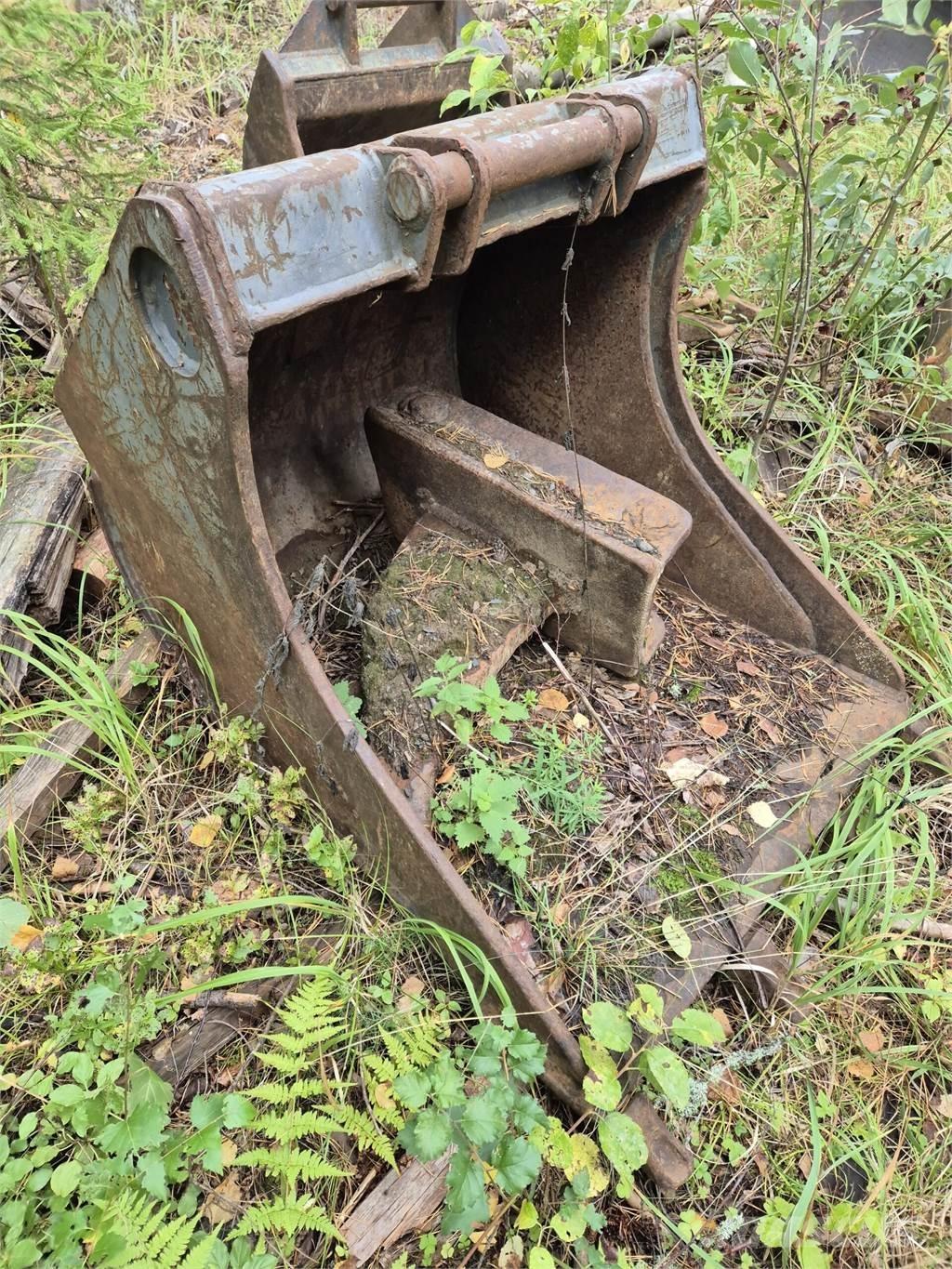 Lännen kynsikauha Schaufeln