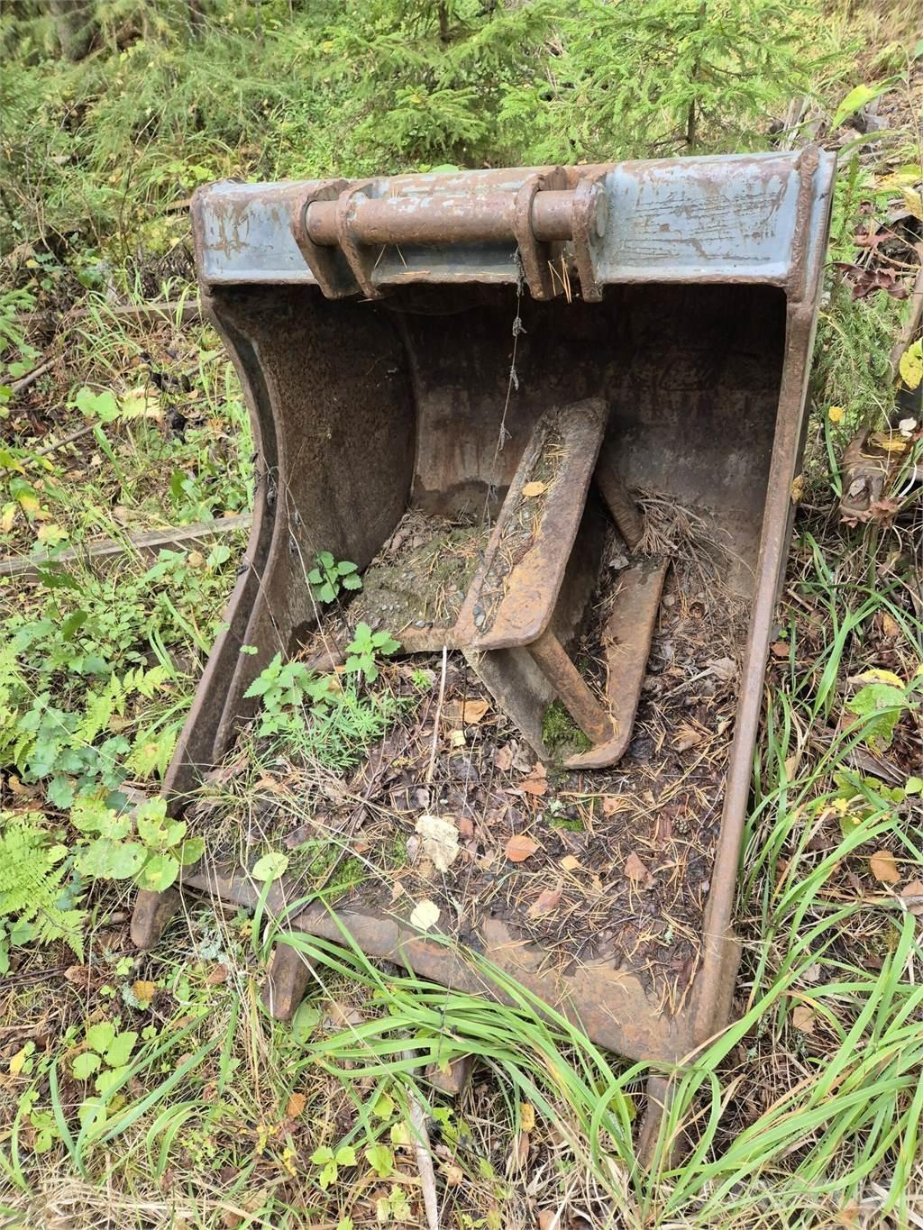 Lännen kynsikauha Schaufeln