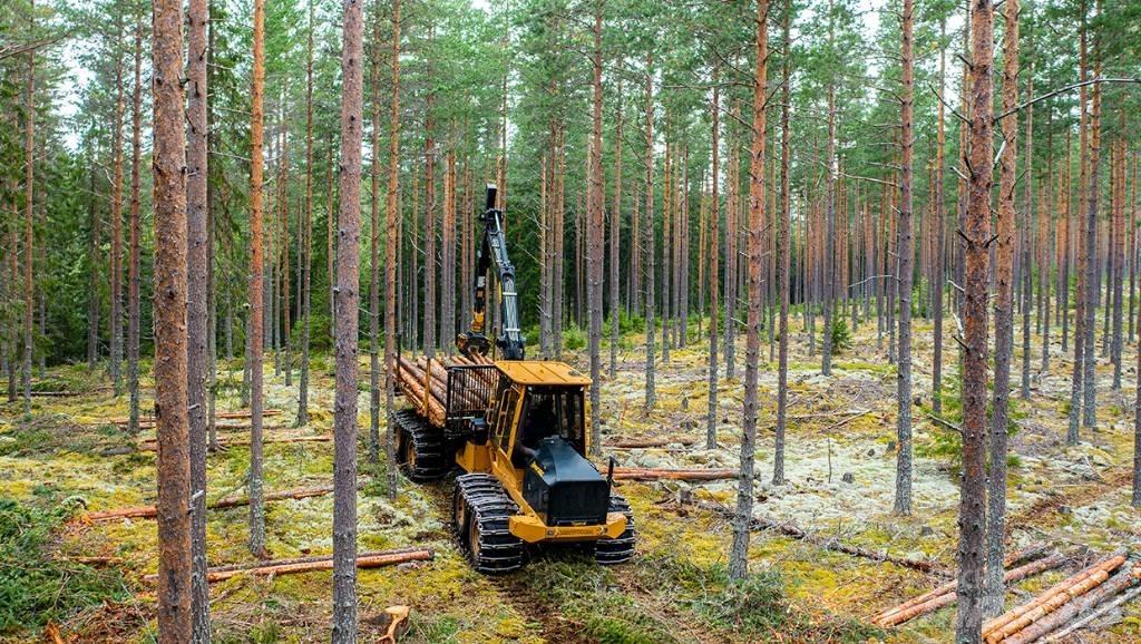 TCI 1055C Forwarder