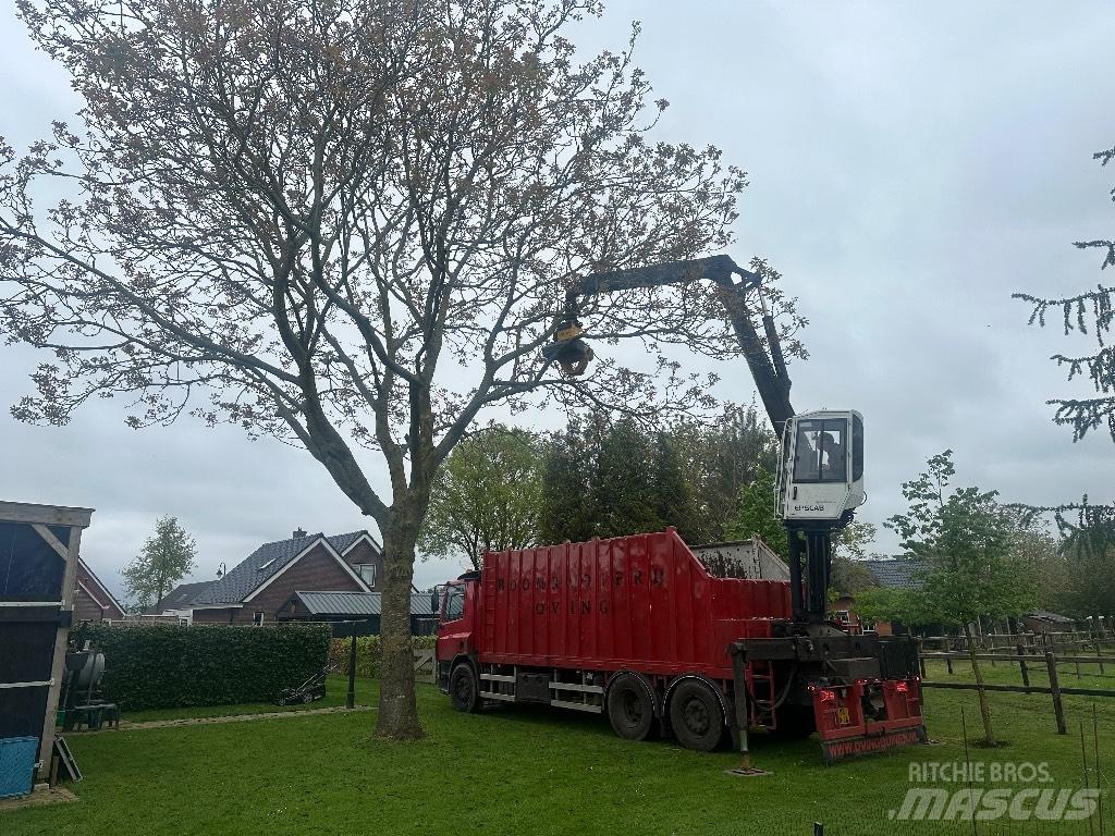 DAF cf As75pc Holzfahrzeuge