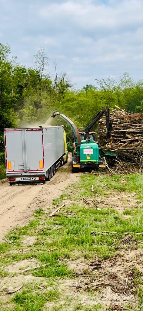 JENZ HEM 561Z Holzspalter