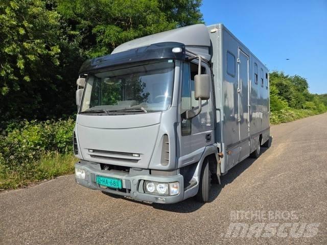 Iveco E 75 Tiertransporter