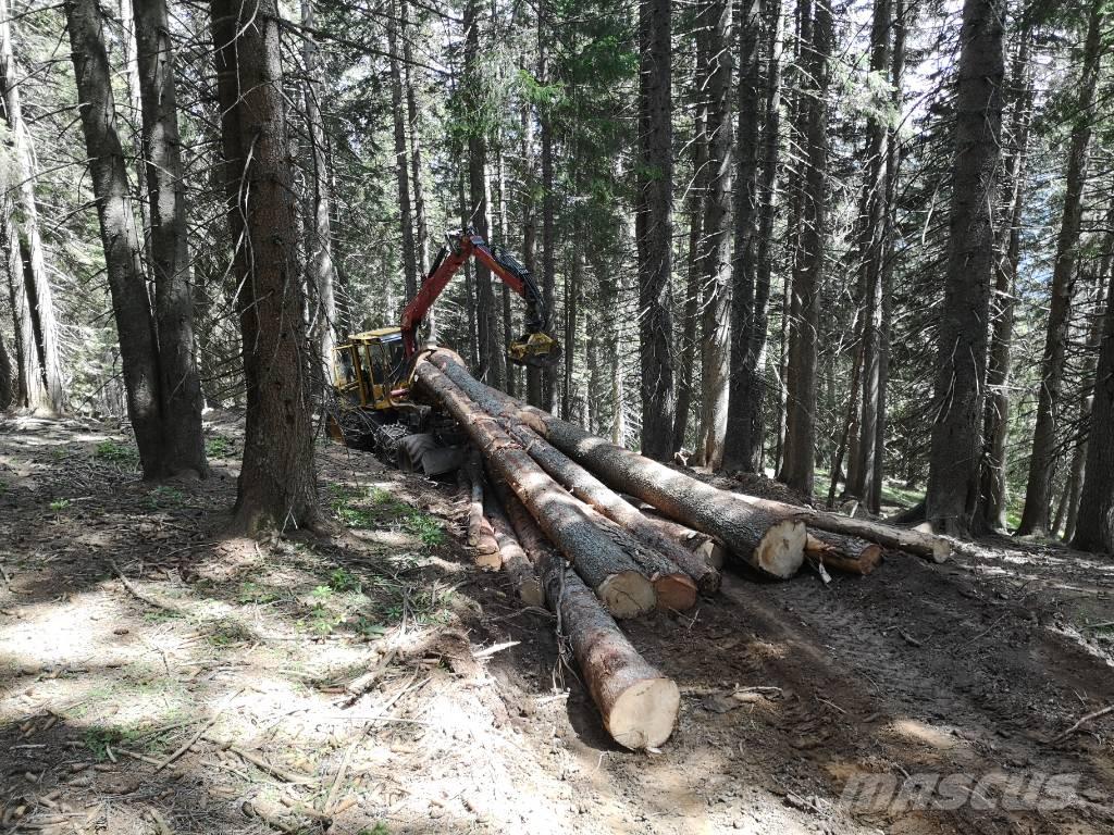 Welte 130K Stammholzschlepper