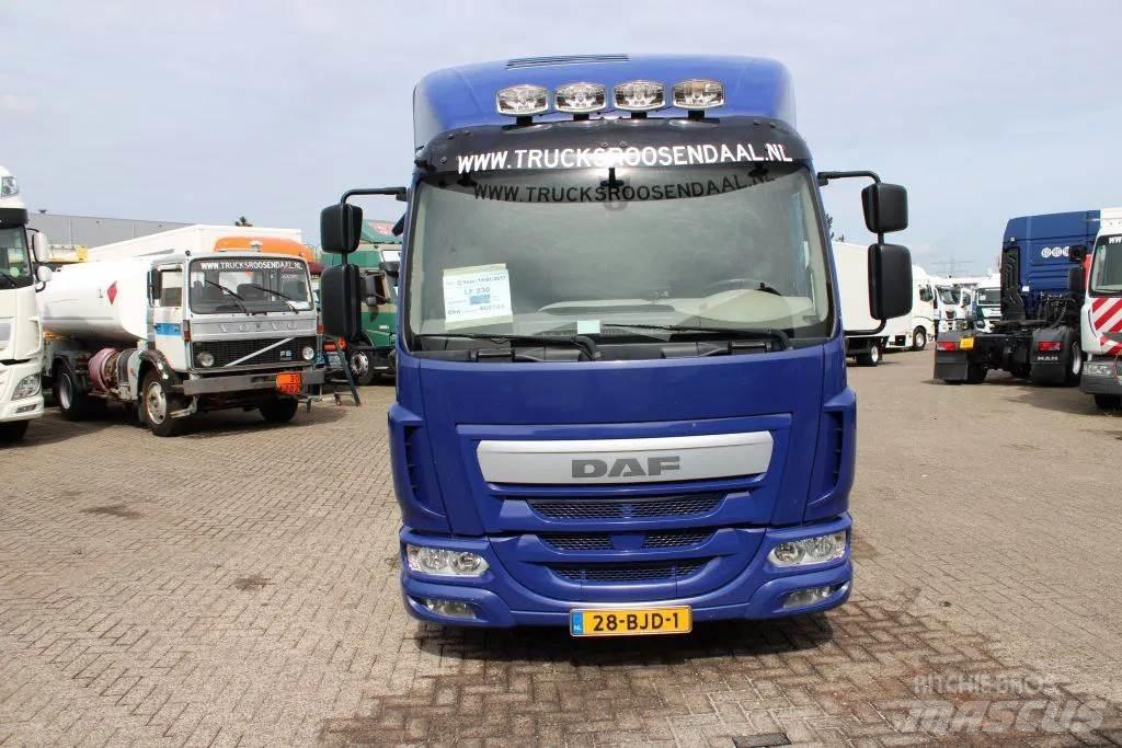 DAF LF 230 + EURO 6 Kastenaufbau