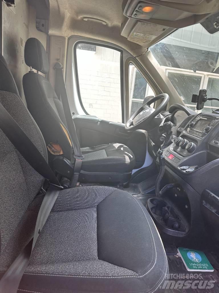 Dodge promaster Kastenaufbau