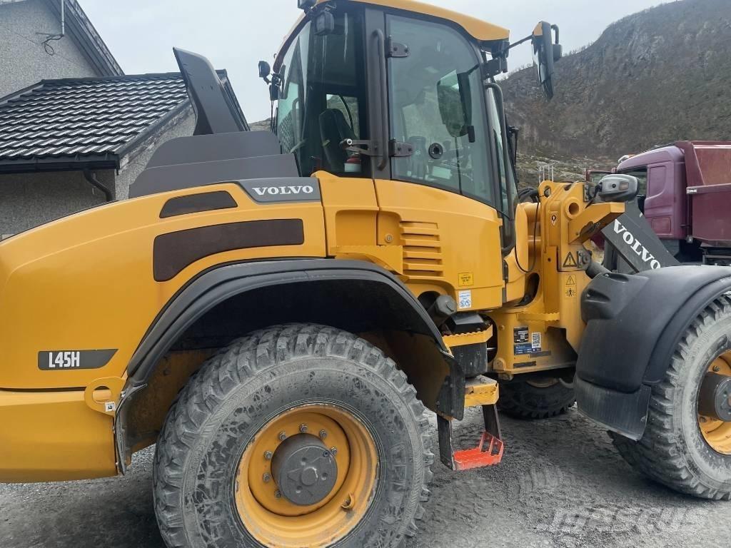 Volvo L 45 H Radlader