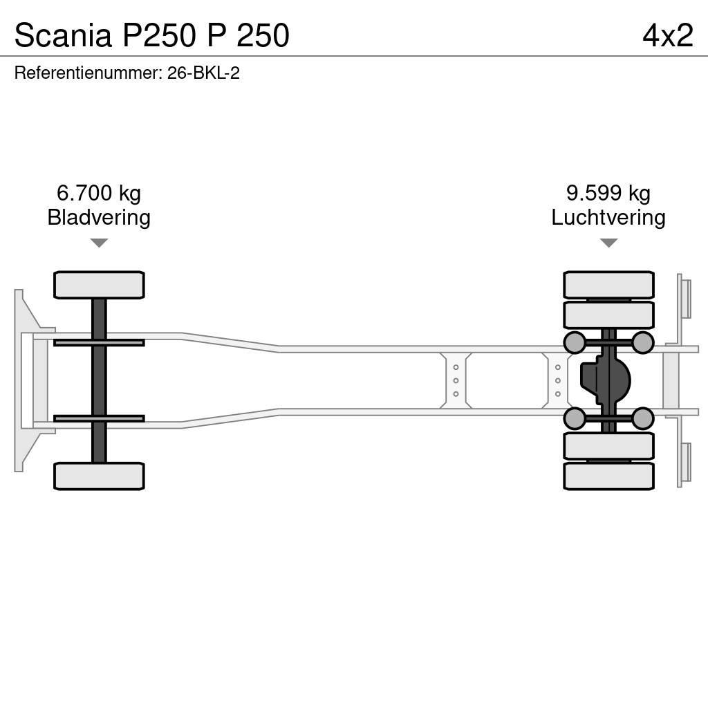 Scania P250 P 250 Kastenaufbau