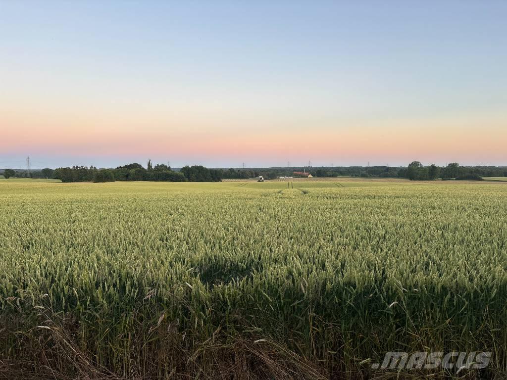Case IH Maxxum 115 Traktoren
