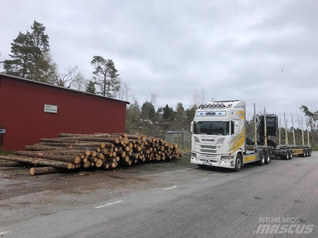Scania R 650 Holzfahrzeuge