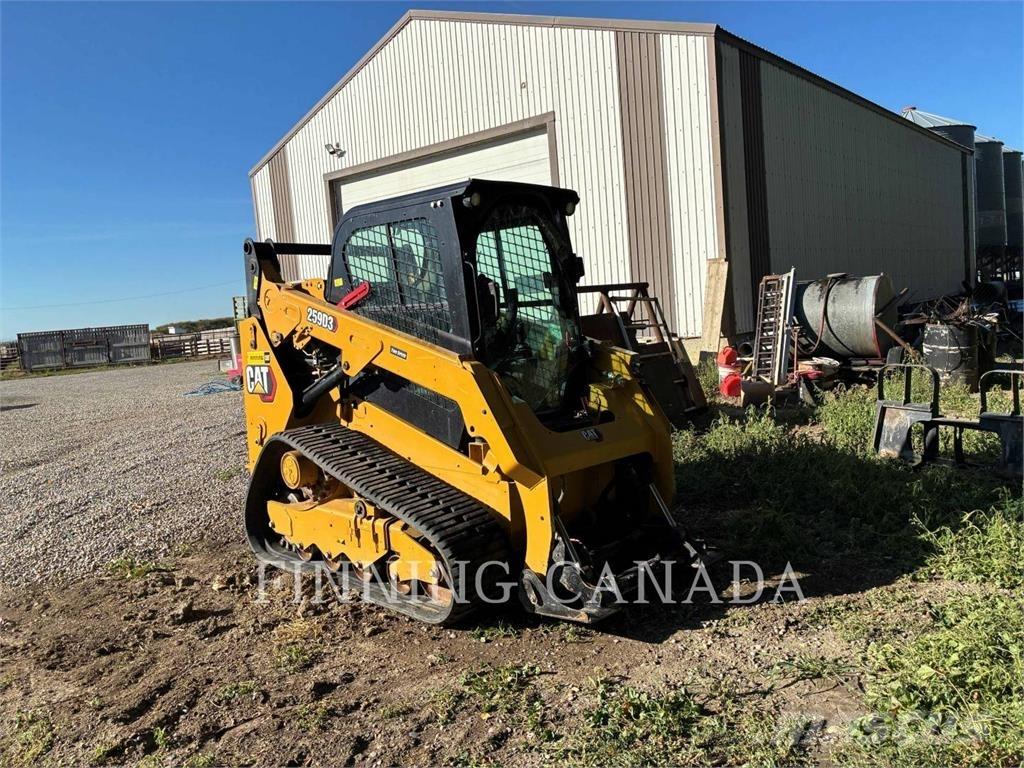 CAT 2593D Laderaupen