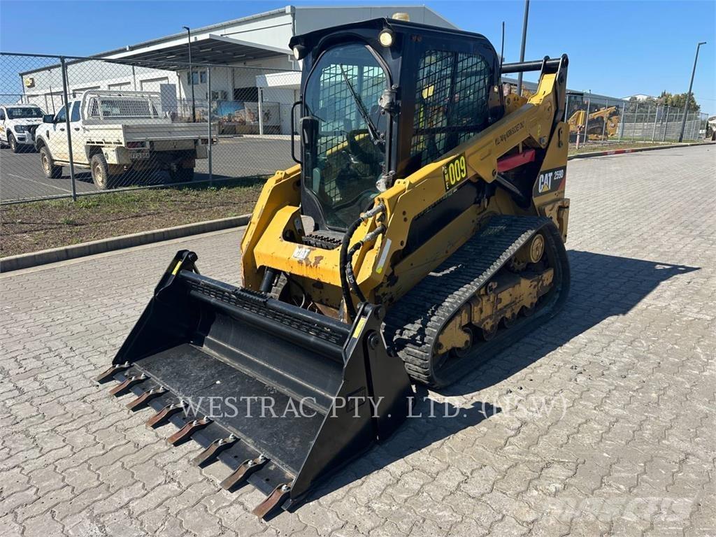 CAT 259D Laderaupen