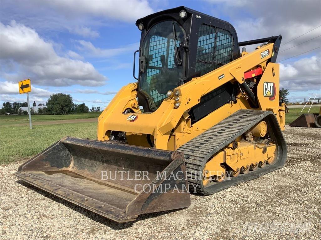 CAT 289D3 Laderaupen