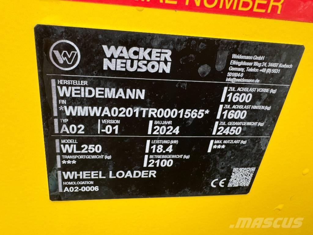 Wacker Neuson WL 250 Radlader