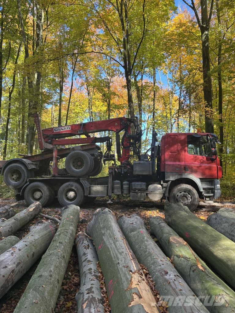 DAF CF 510 Holzfahrzeuge