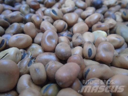  feverole Sonstige Baumaschinen