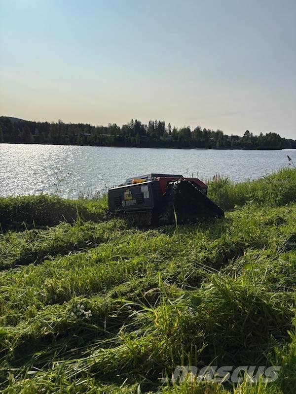 Blue Bird FM 24-70 Handgeführte Rasenmäher