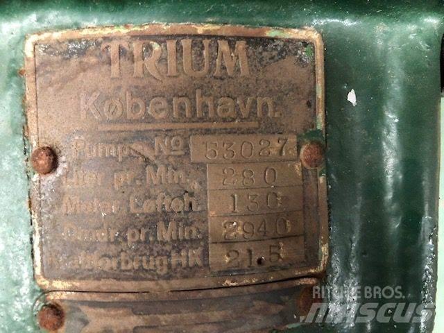  TRIUM QZKS Vandpumpe Wasserpumpen
