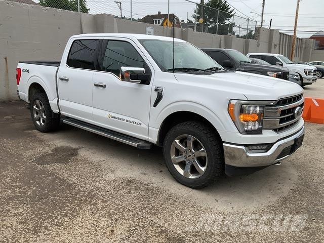 Ford F-150 Andere Transporter