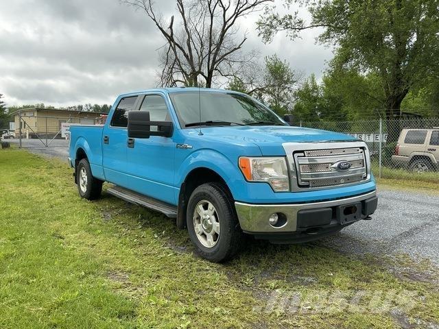 Ford F-150 Pickup/Pritschenwagen