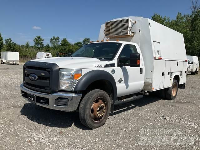 Ford F-550 Pickup/Pritschenwagen