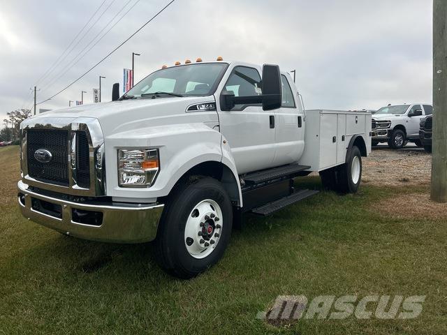 Ford F-650 Pickup/Pritschenwagen