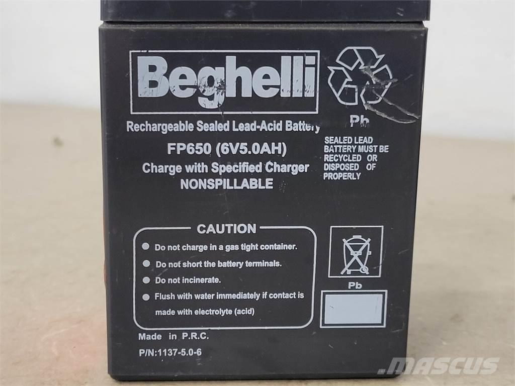  BEGHELLI FP650 Batterien