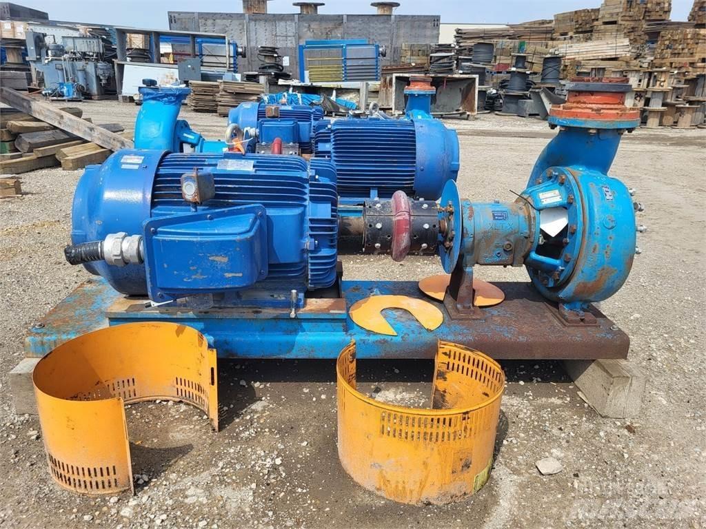  GOULDS 3196 Wasserpumpen