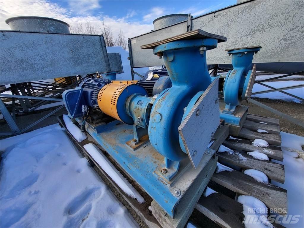  GOULDS 3196 Wasserpumpen