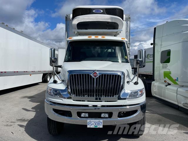 International MV Kühlkoffer