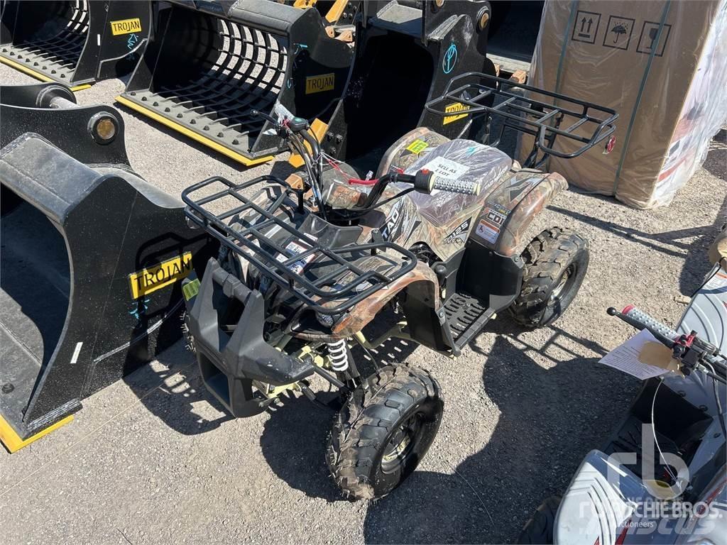  TAO MOTOR D125 ATV/Quad