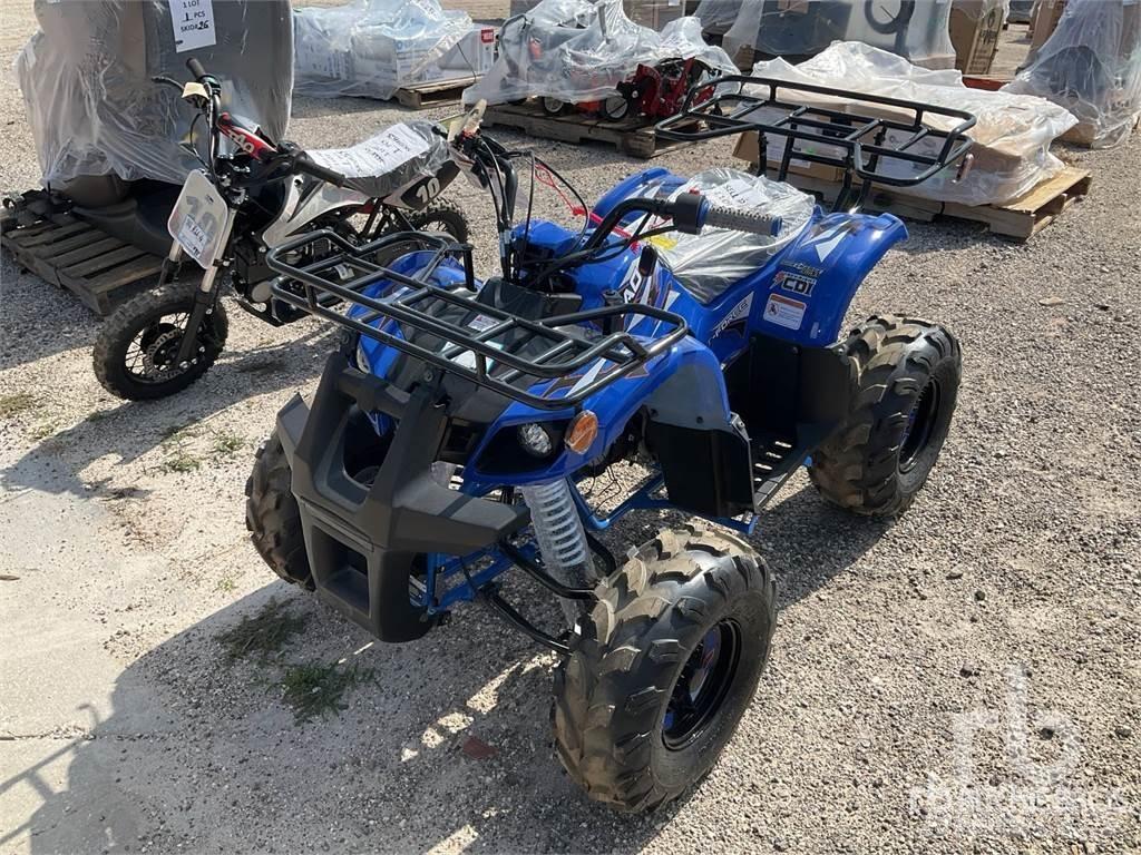  TAO T125 ATV/Quad
