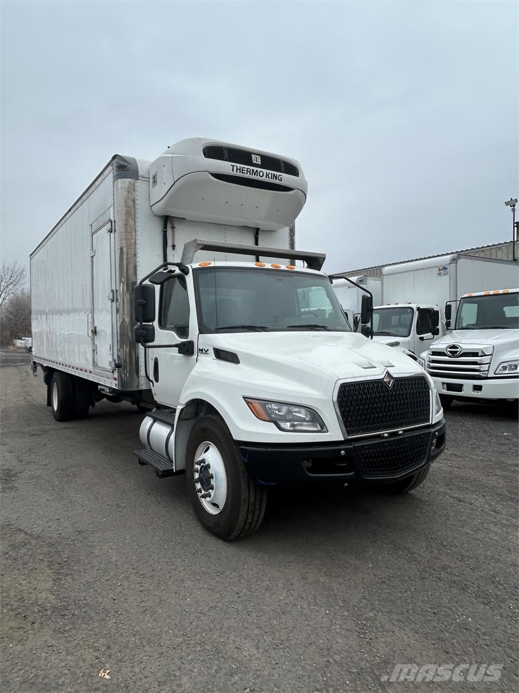 International MV607 Kastenaufbau