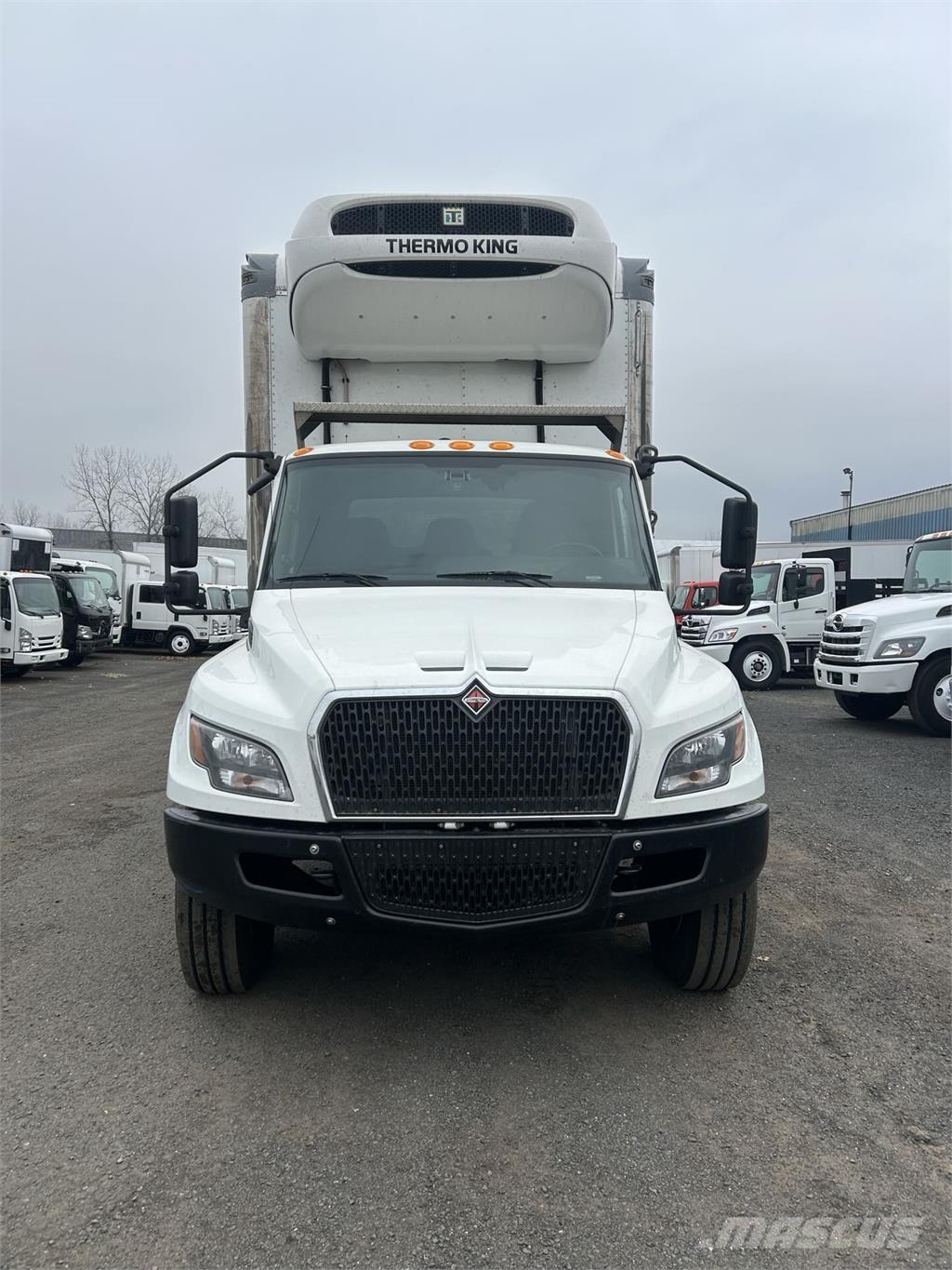 International MV607 Kastenaufbau