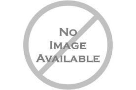 Caterpillar Bucsa - 262-7043
