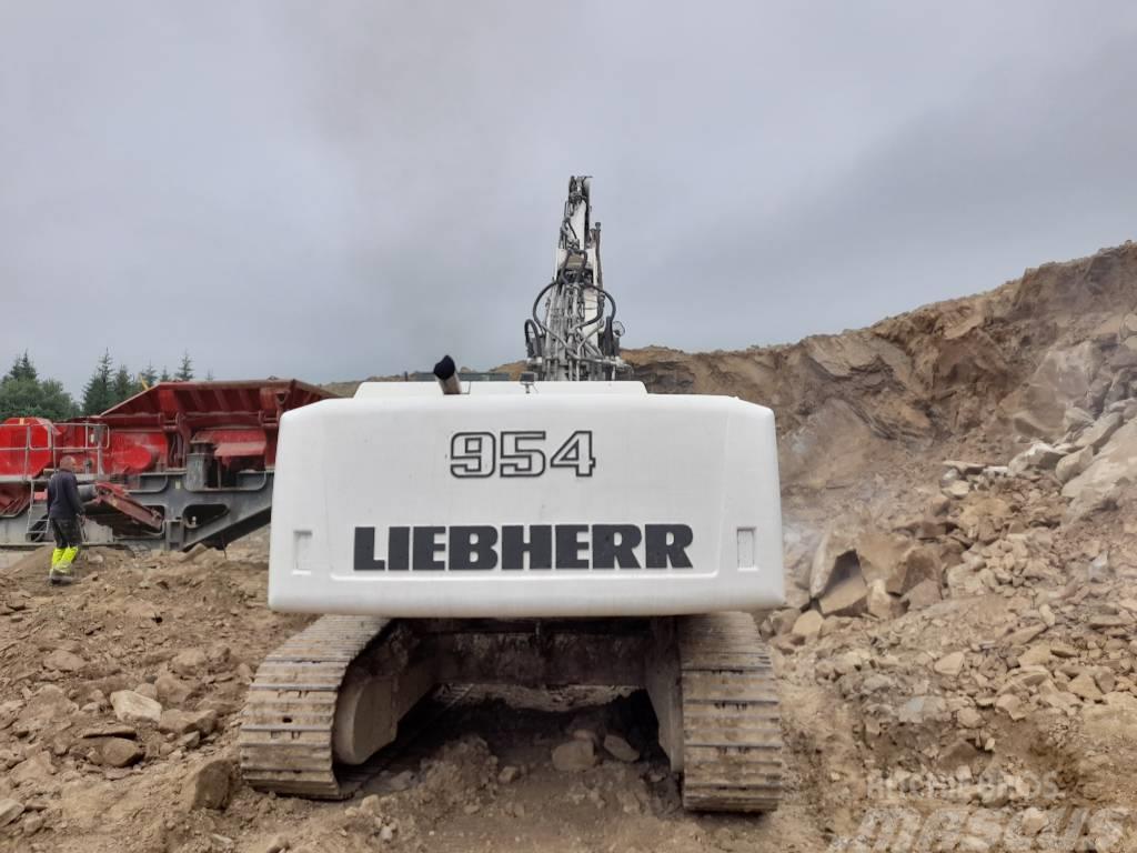 Liebherr R 954 C HD Raupenbagger