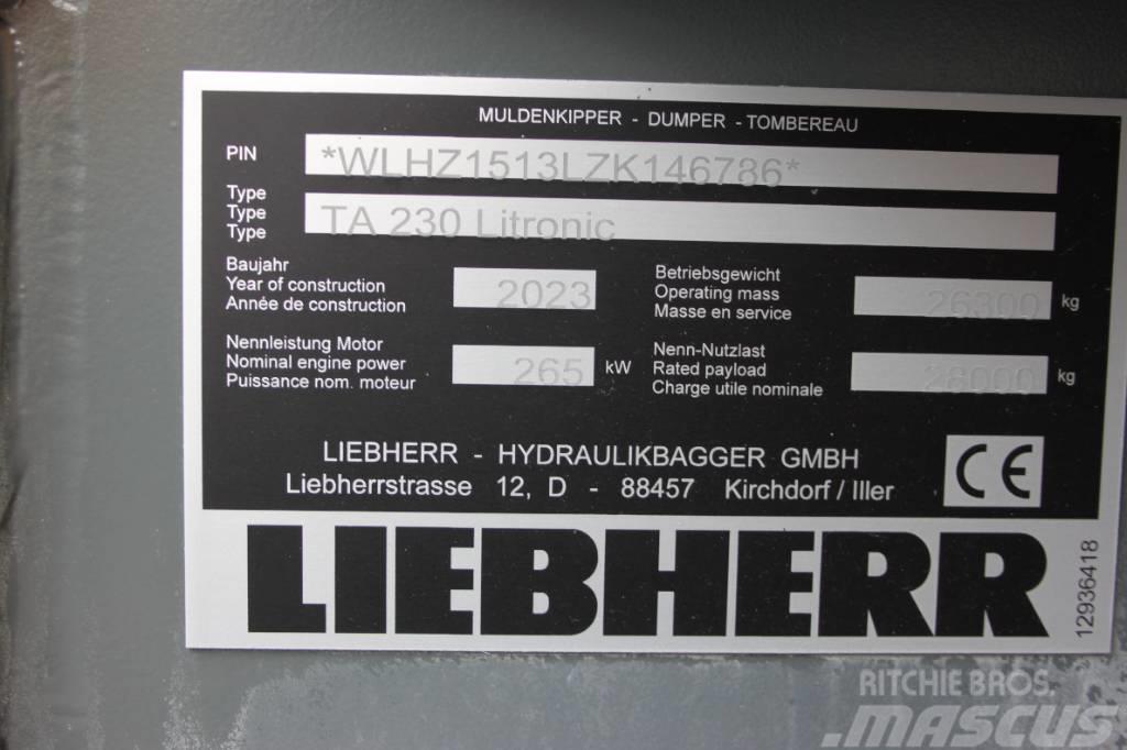 Liebherr TA 230 Dumper - Knickgelenk
