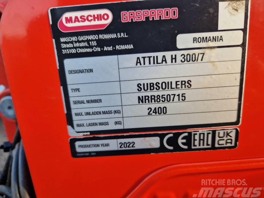 Maschio Attila 300/7 Grubber