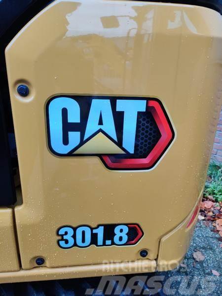 CAT 301.8 Gabeln
