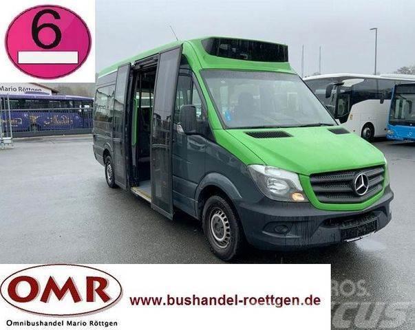 Mercedes-Benz Sprinter 314 Mobility / 316 / 514 / 516 / Rampe Minibusse
