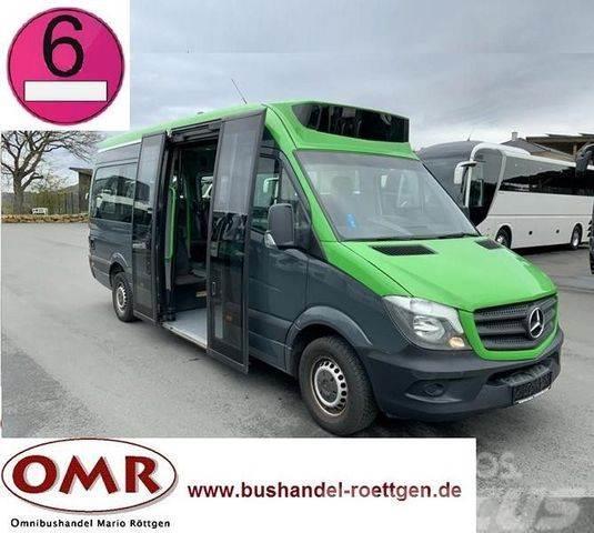 Mercedes-Benz Sprinter 314 Mobility / 316 / 514 / 516 / Rampe Minibusse