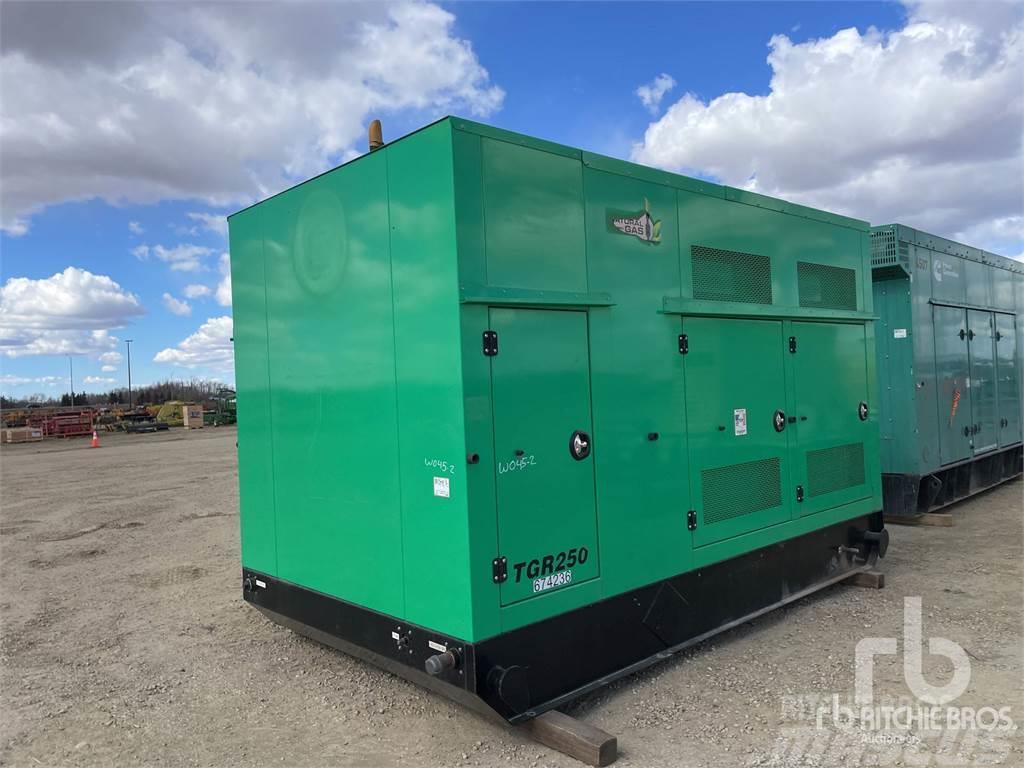 Taylor HC1434D Diesel Generatoren